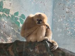 -石家庄市动物园