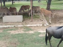 -西安秦岭野生动物园