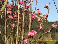 -贵阳市花溪国家城市湿地公园