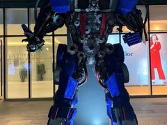 -青岛嘉年华主题乐园