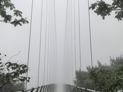 -南丹山森林王国