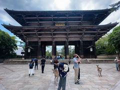 -奈良公园
