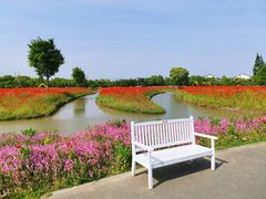 -花开海上生态园