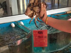 -四海蒸鲜蒸汽海鲜自助(北戴河店)
