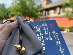 -大慈恩寺(大雁塔)