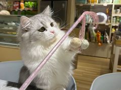 -听TA说宠咖·宠物生活馆(天韵水岸店)