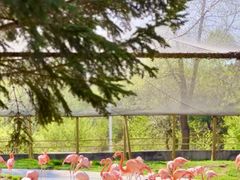 -哈尔滨北方森林动物园