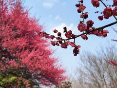 -南京市江宁方山