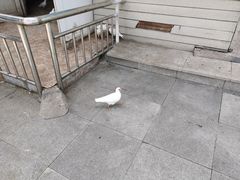 -在海一方公园