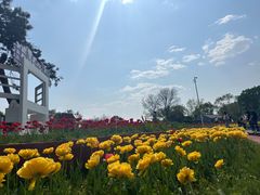 -北陵公园