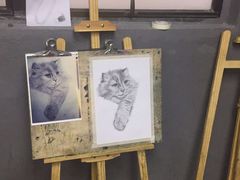 -黑骏画室·深圳美术中高考黄埔军校