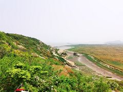 -洋山深水港