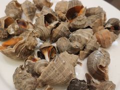 -宾朋海鲜饭庄(兴海路店)