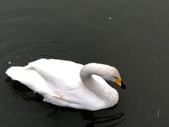 -上海野生动物园