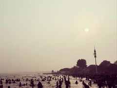 景点-老虎石海上公园