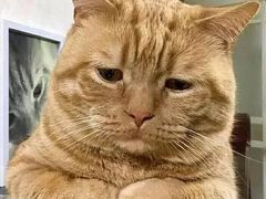 -益禾堂(重庆渝北西南政法大学店)