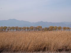-野鸭湖国家湿地公园