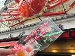 -蟹道乐(道顿堀本店)