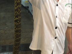 -荔城生鲜盛宴(番禺旗舰店)