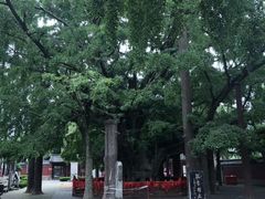 -浮来山风景区