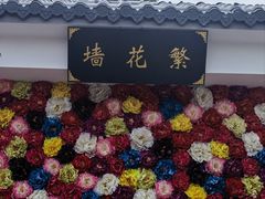 -神州牡丹园