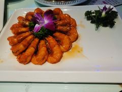 -巴特餐饮6加1音乐餐吧·新疆菜