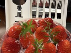 -Dark Horse·黑马蛋糕·低脂·低糖淡奶(金匙望湖大厦店)