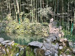 -四门塔风景区