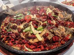 -老板恋上鱼(高新万达店)