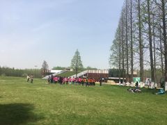 -黄海国家森林公园