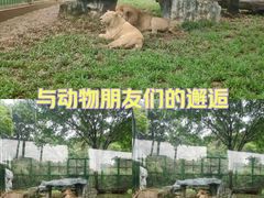 -广州动物园