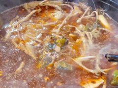 -金海椒罐罐鲢鱼(东方桂苑店)