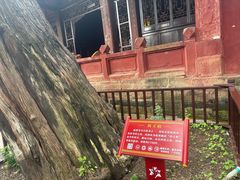 -七曲山风景区