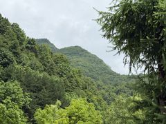 -九寨沟石锅鱼(沣峪口二十年店)