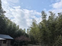 -宁波浙东大竹海景区