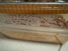 -玛格萝妮比萨屋(陆家浜路店)