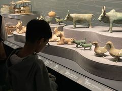 -广西壮族自治区博物馆