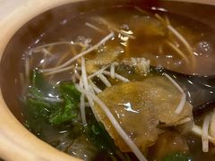 -大中鱼翅 Taitong Shark Fin