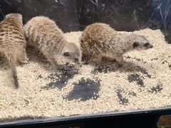 -太平洋海底世界