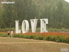 -紫海香堤香草艺术庄园