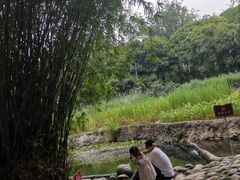 -成都市活水公园