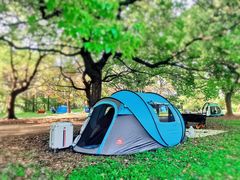 -上海共青森林公园