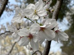 -徐家汇源景区-衡山公园