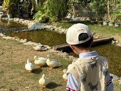 -HERRE·FARM 赫尔露营农场·团建聚会包场