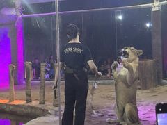 -清迈夜间动物园