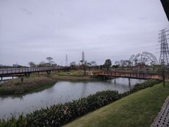 -王借岗森林公园