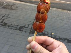 -和禄德冰糖葫芦