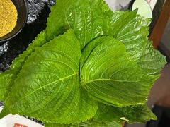 -四斤烤肉(东戴河孟家店)