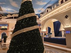 -深圳威尼斯英迪格酒店