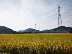 -李东农庄(中南百草园地标店)